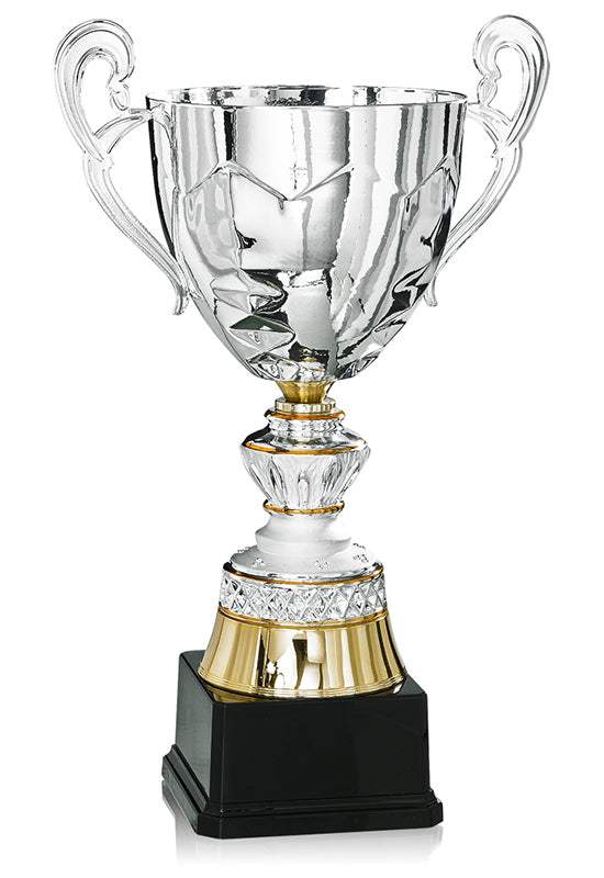 Pokal Wien
