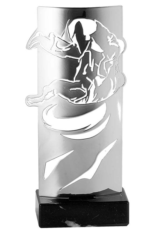 Judo Metallpokal