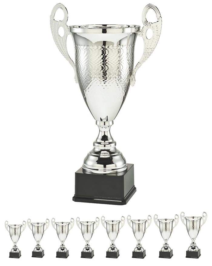Pokal Ahrenviöl
