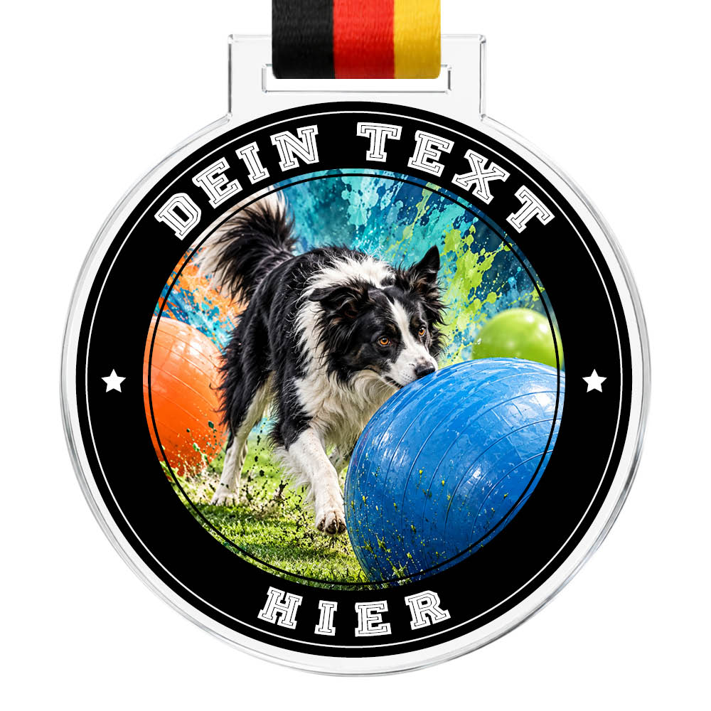 Signature Medaille Treibball – Produktansicht