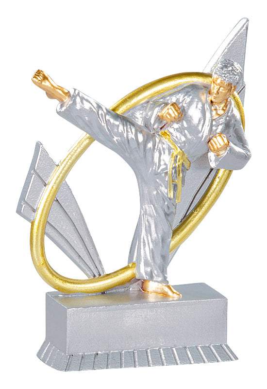 Karate 3D Pokal