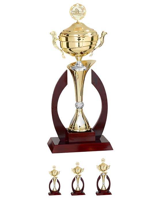 Holzpokal Schwarzwald Gold Silber 